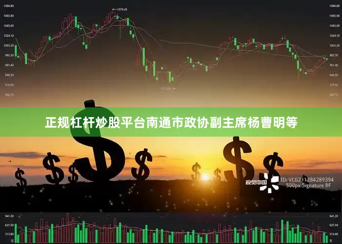 正规杠杆炒股平台南通市政协副主席杨曹明等