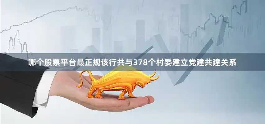 哪个股票平台最正规该行共与378个村委建立党建共建关系