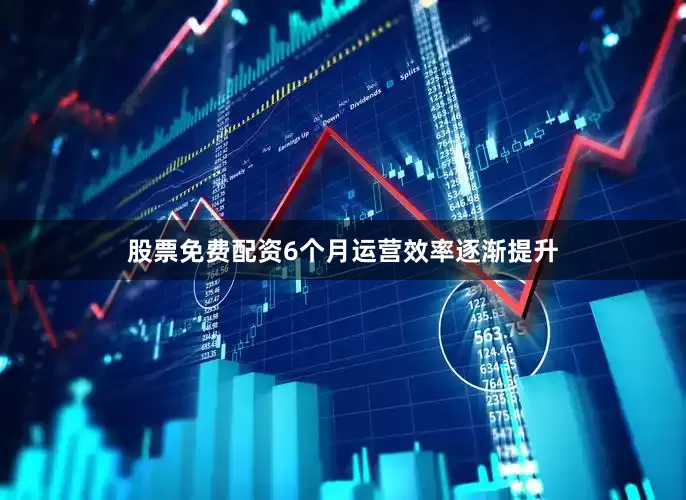 股票免费配资6个月运营效率逐渐提升